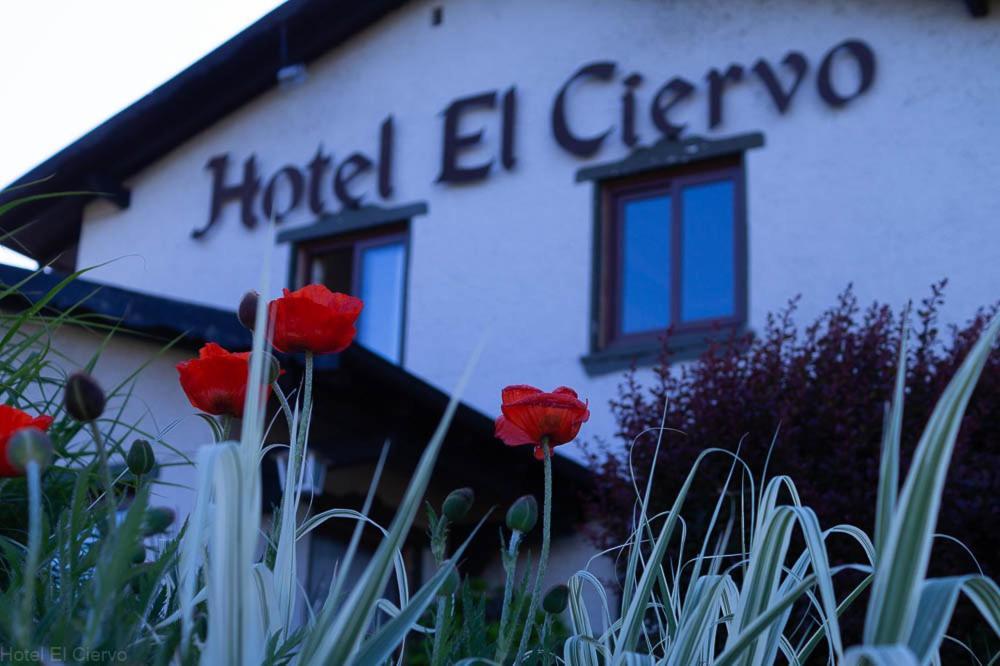 Hotel El Ciervo Вильяррика Экстерьер фото