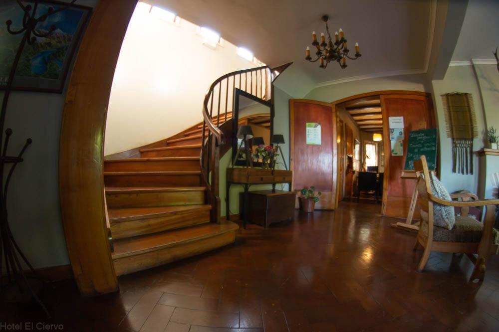 Hotel El Ciervo Вильяррика Экстерьер фото
