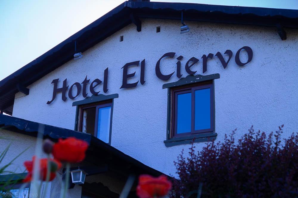 Hotel El Ciervo Вильяррика Экстерьер фото
