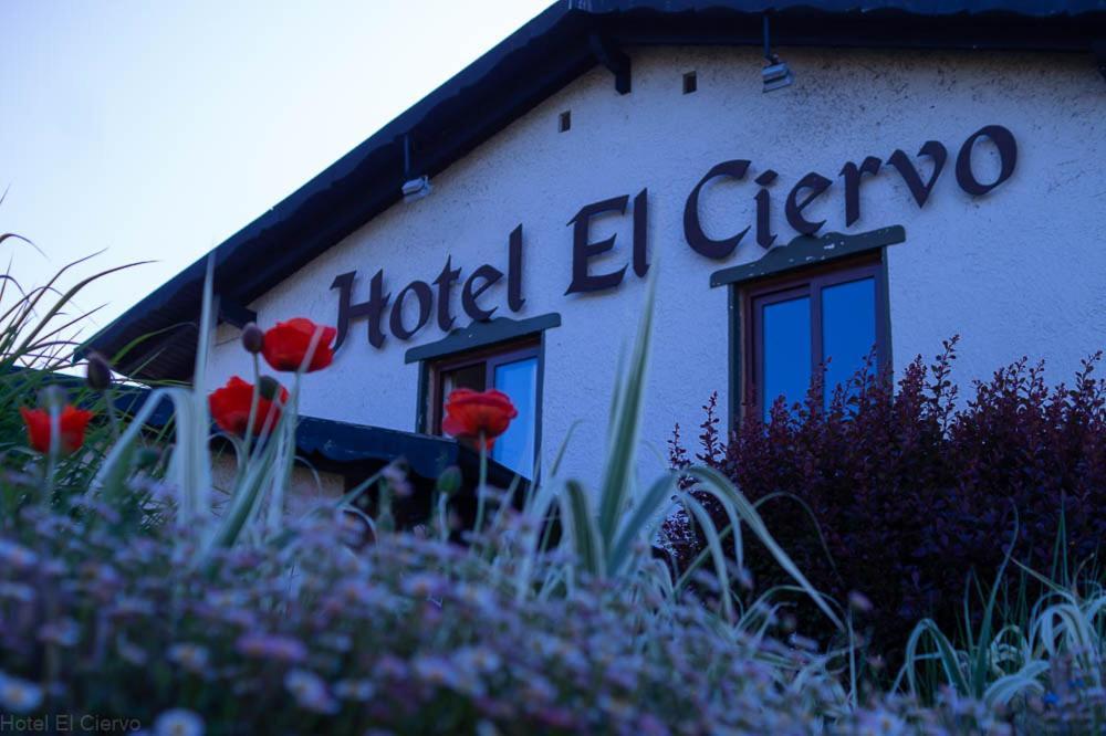 Hotel El Ciervo Вильяррика Экстерьер фото
