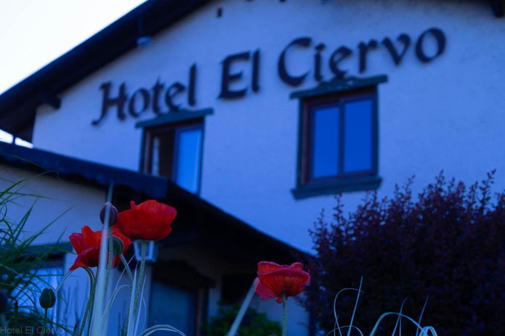 Hotel El Ciervo Вильяррика Экстерьер фото
